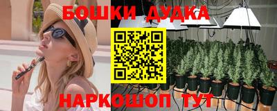 спиды Новодвинск