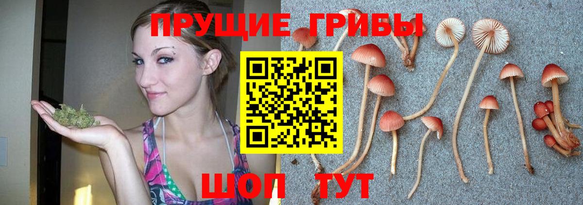 Псилоцибиновые грибы MAGIC MUSHROOMS  Вход с VPN  Славгород  Галлюциногенные грибы мухоморы 