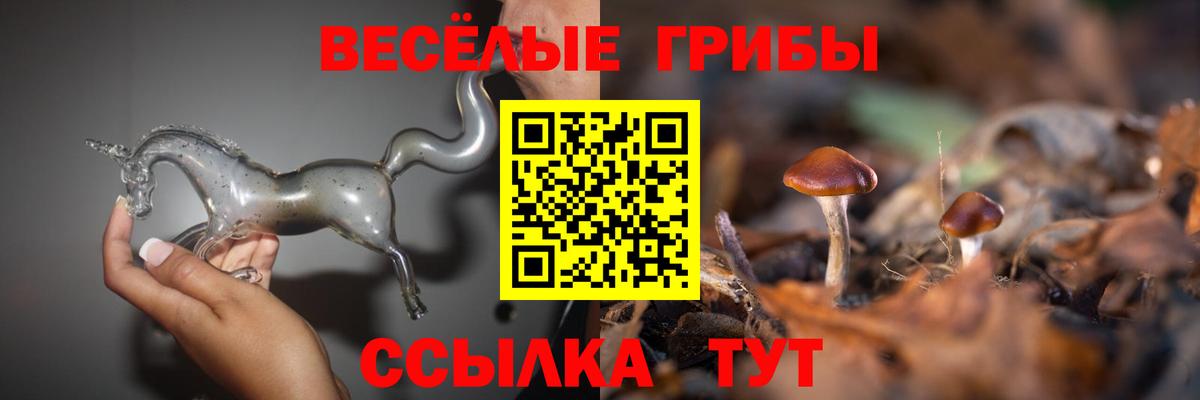 Галлюциногенные грибы мухоморы Славгород